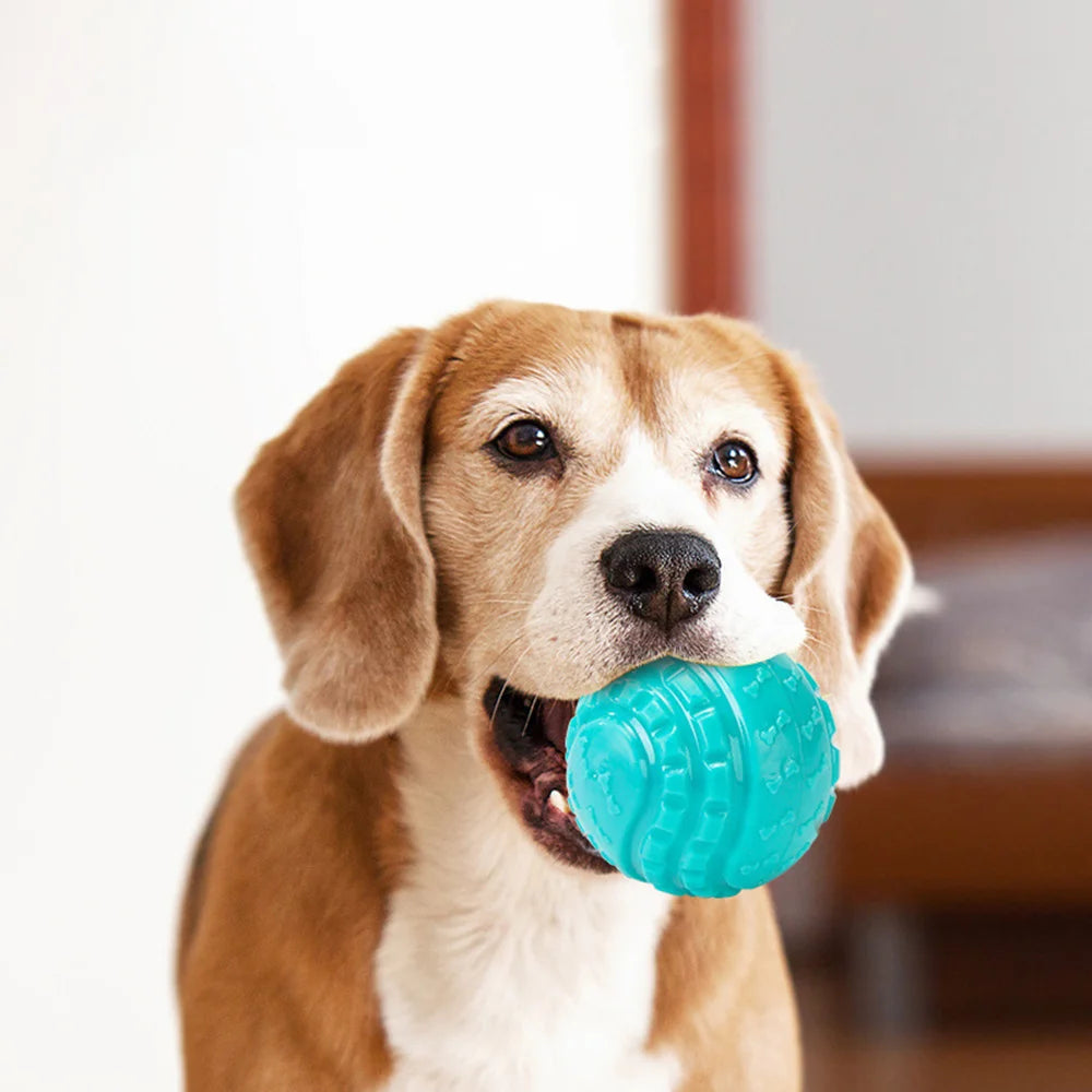 Hundespielball – Strapazierfähiger Quietschender Kauspielball für Große Hunde Kaufschwan®