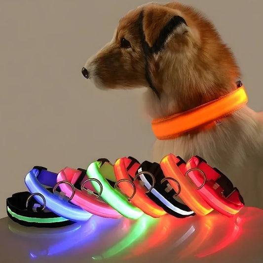 LED Leuchtendes Hundehalsband Nylon Blinkend Nacht Sicherheit Fluoreszierend Verstellbar für Hunde Kaufschwan®