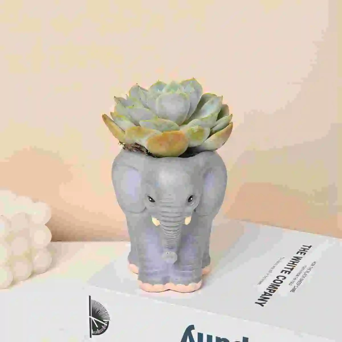 Elefanten Vase – Einzigartige & Lustige Deko Vase | Wohnzimmer Esstisch Büro Bücherregal Vase & Stiftehalter Kaufschwan®