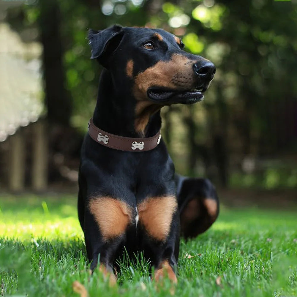 Knochen Leder Hundehalsband Strapazierfähig Verstellbar für Kleine Große Hunde Katzen Welpen Kaufschwan®