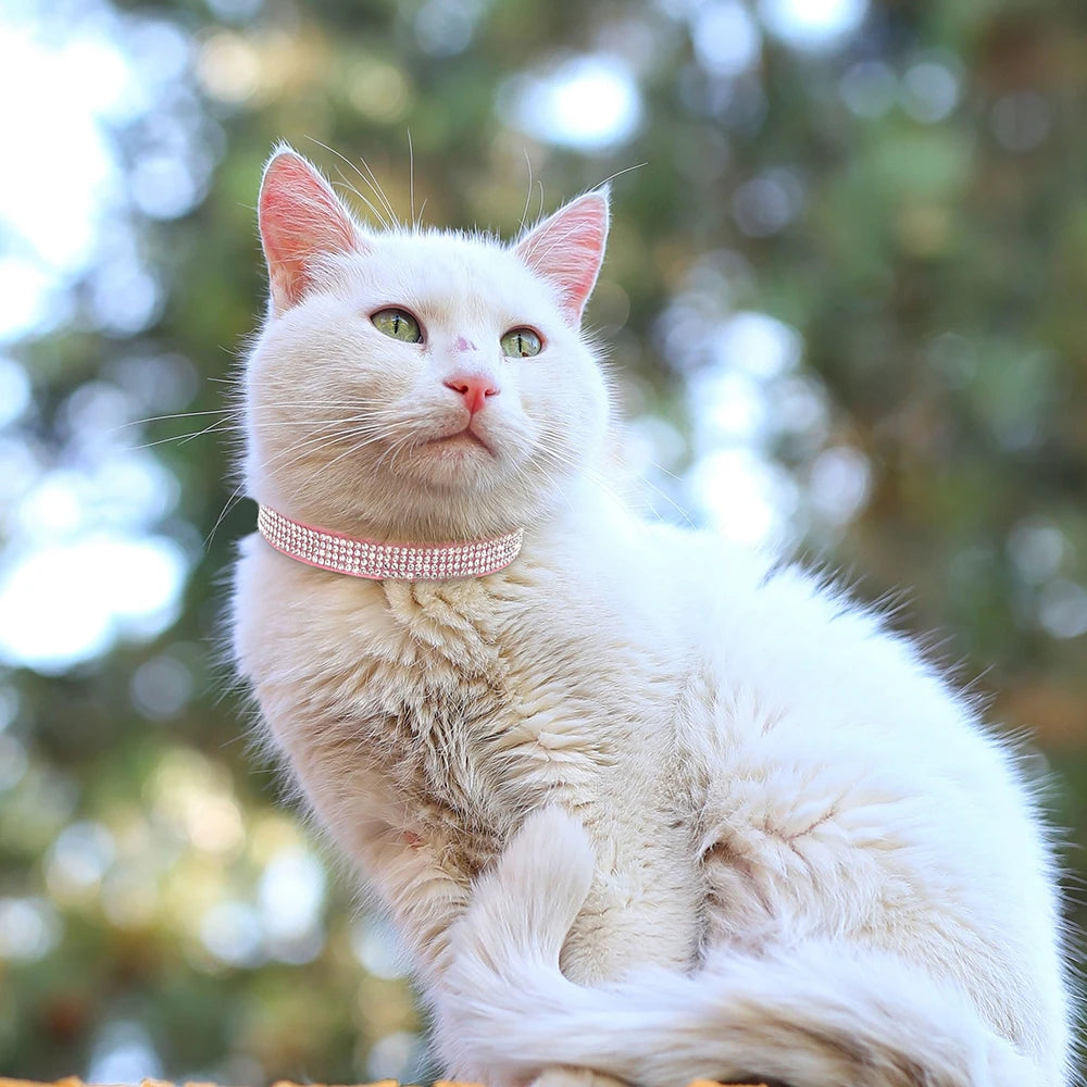 Weiches Rosa Wildleder-Katzenhalsband für Katze – Strasssteine, Glöckchen, Sicherheitsverschluss & Verstellbare Passform Kaufschwan®