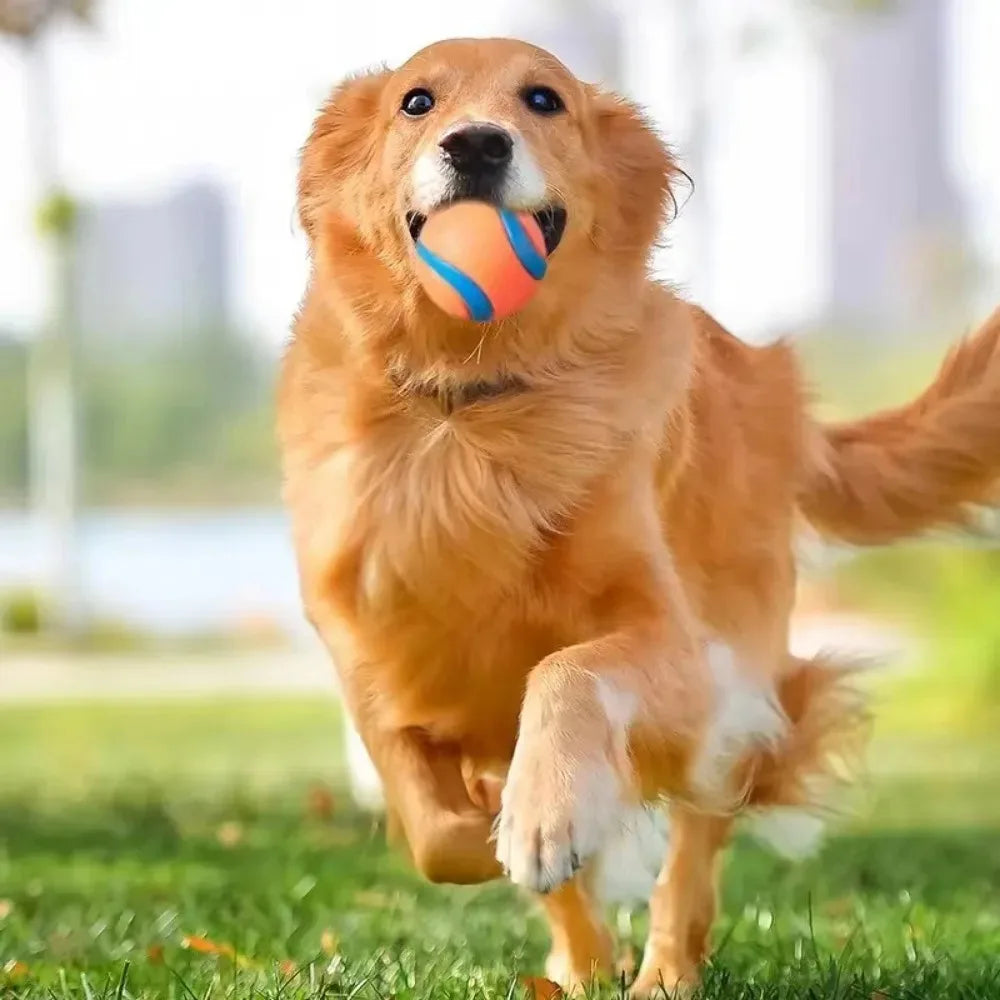 Elastischer Hundespielball – Robuster Springender Kauspielball Kaufschwan®