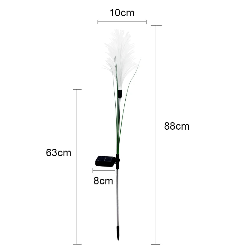 LED Solar-Schilflichter für Garten – Wasserdichte Außenleuchten für Wege, Rasen, Terrasse & Weihnachtsdeko Kaufschwan®