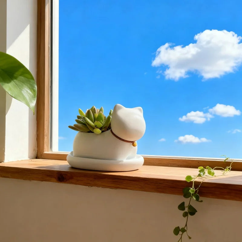 Niedlicher Cartoon Katzen Blumentopf – Kreatives Katzen Gesicht Design | Leichter Anti-Rutsch Pflanztopf für Büro, Lernen & Balkon Kaufschwan®