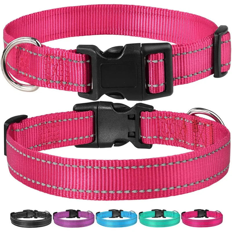 Reflektierendes Nylon Hundehalsband mit Leine Verstellbar Sicherheits Set für Kleine Mittelgroße Hunde Kaufschwan®