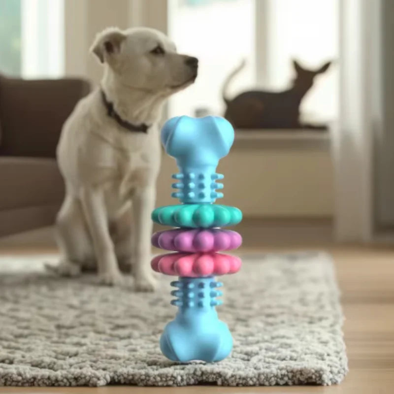 Hunde Kauknochen Set – Bissfeste Zahnungs Spielzeuge für Welpen Kaufschwan®