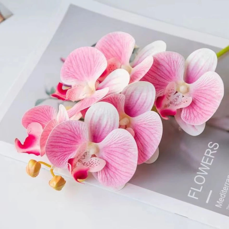 3D Künstliche Schmetterlings-Orchideen – Kunststoffblumen für Zuhause, Vase, Hochzeit, Garten & Partydekoration | DIY Girlanden & Geschenkboxen Kaufschwan®