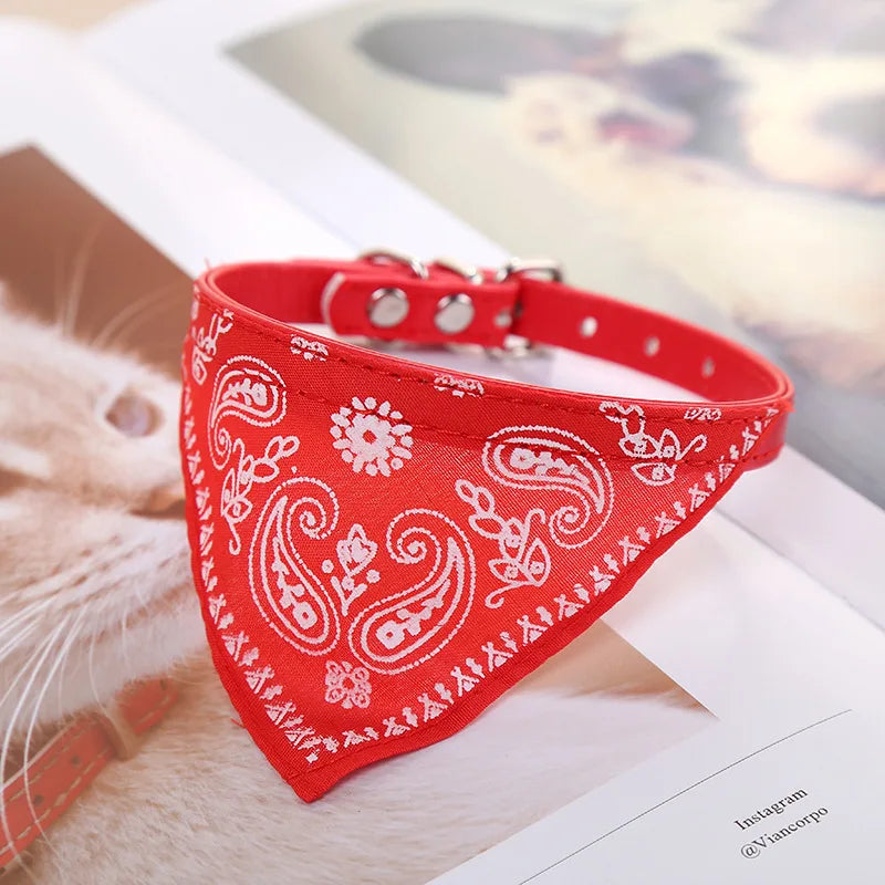 PU Leder Hundehalsband mit Schal Verstellbar Stilvolles Halsband für Kleine Mittelgroße Hunde Welpen Kaufschwan®