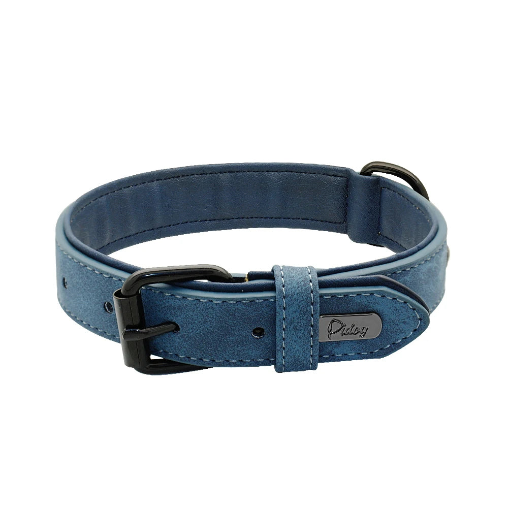 Gepolstertes Echtleder Hundehalsband Strapazierfähig für Große Hunde Kaufschwan® Blau S
