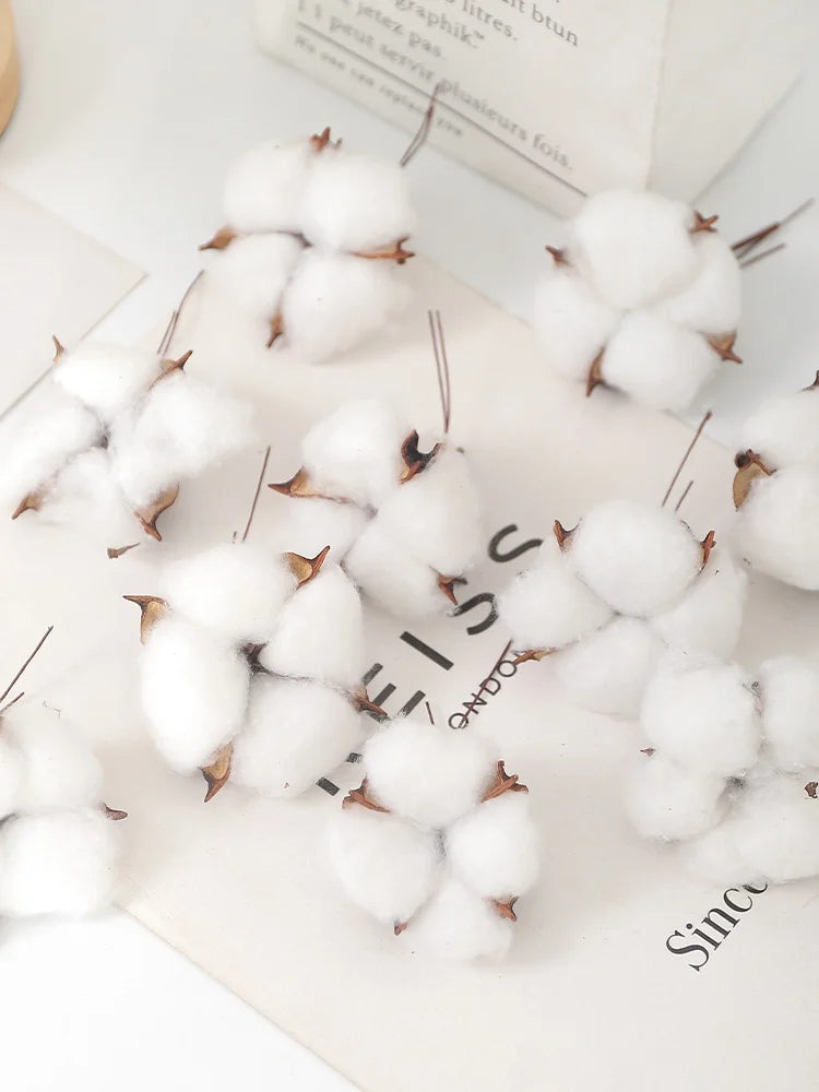 10 Stück Bunte Künstliche Blumen (Baumwollkopf) & Natürliche Trockenblumen – Dekoration für Zuhause, Geburtstag & Weihnachten | DIY Kranz & Girlanden Set Kaufschwan®