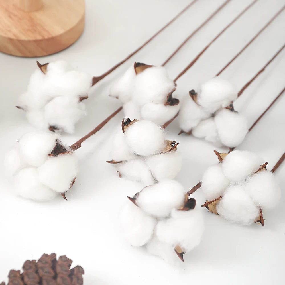 10 Stück Bunte Künstliche Blumen (Baumwollkopf) & Natürliche Trockenblumen – Dekoration für Zuhause, Geburtstag & Weihnachten | DIY Kranz & Girlanden Set Kaufschwan®