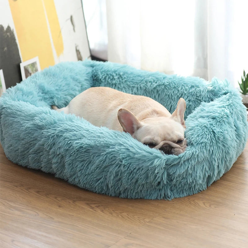 Plüsch Haustierbett Sofa – Flauschiges Kissenkorb Bett für Hunde & Katzen Kaufschwan®