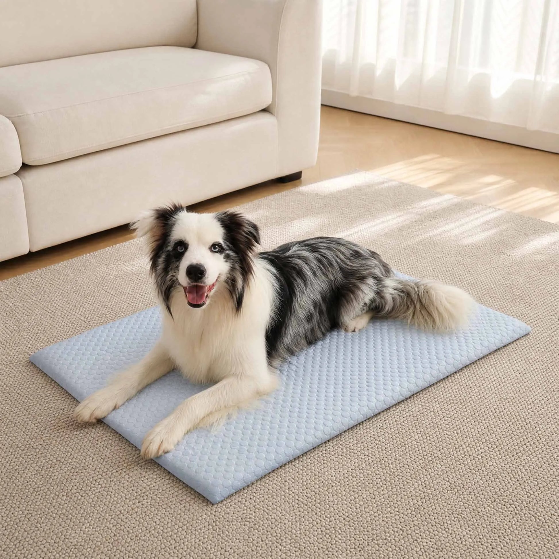 Sommer Kühlmatte für Haustiere - Dicke Atmungsaktive Schlafmatte aus Eisseide für Hunde, Katzen und Große Haustiere Kaufschwan®