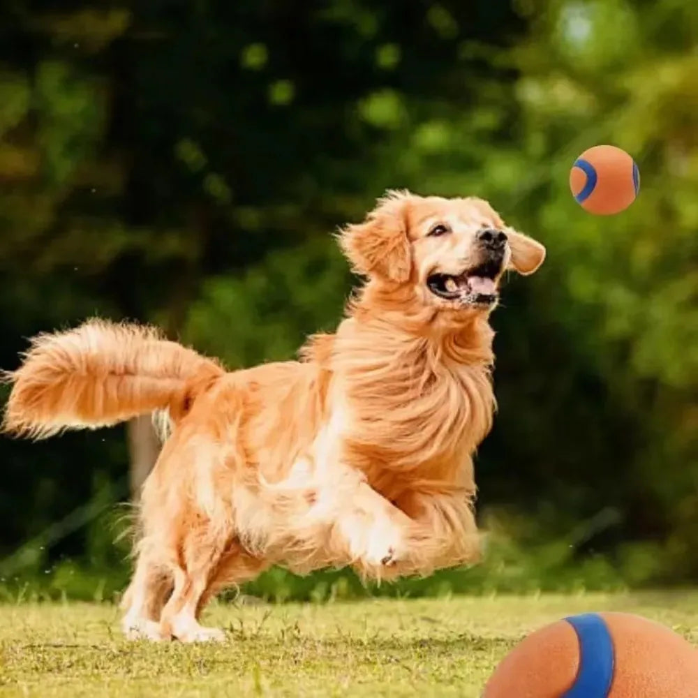 Elastischer Hundespielball – Robuster Springender Kauspielball Kaufschwan®