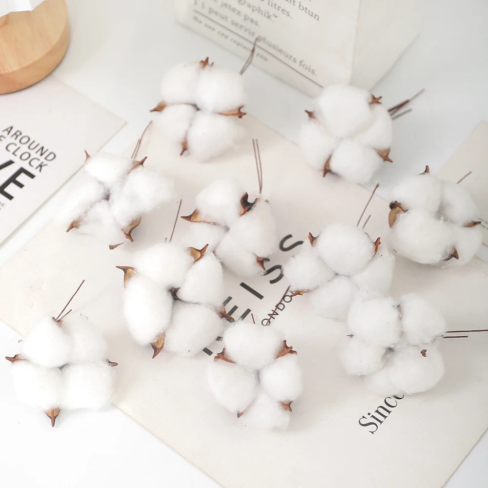 10 Stück Bunte Künstliche Blumen (Baumwollkopf) & Natürliche Trockenblumen – Dekoration für Zuhause, Geburtstag & Weihnachten | DIY Kranz & Girlanden Set Kaufschwan® Weiß 10 Stück