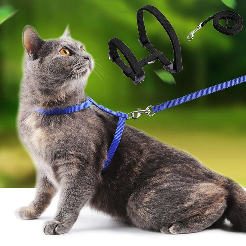Verstellbares Nylon-Katzengeschirr für Katze mit Leine – Gemütliches Geschirr mit Halsriemen Kaufschwan®