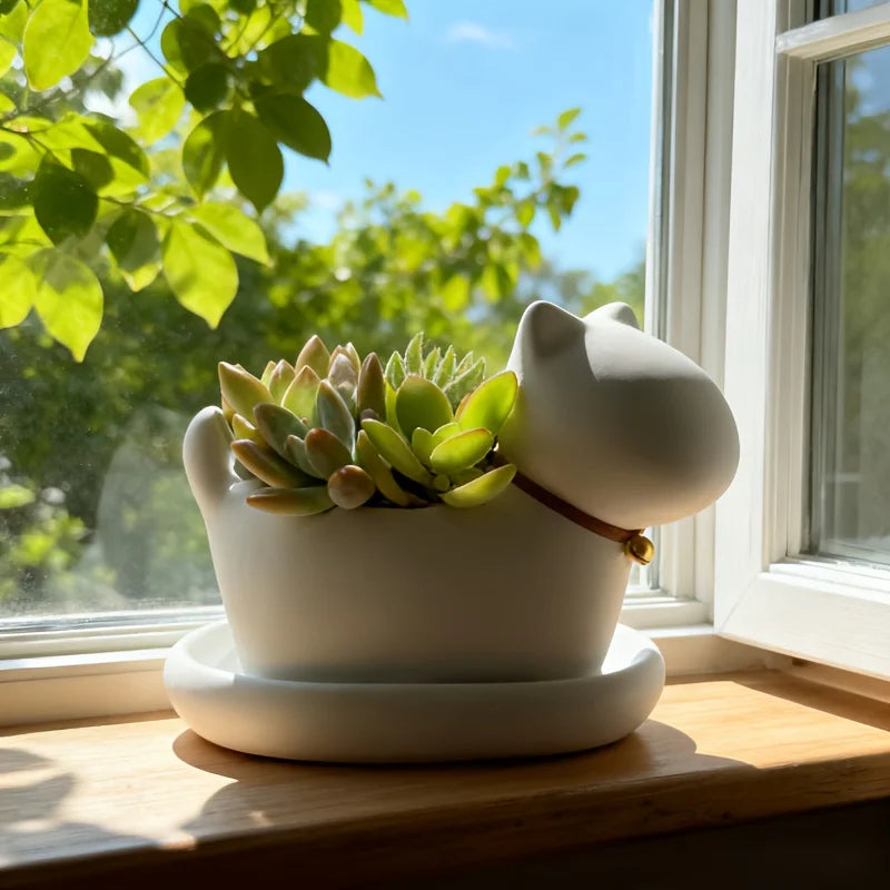 Niedlicher Cartoon Katzen Blumentopf – Kreatives Katzen Gesicht Design | Leichter Anti-Rutsch Pflanztopf für Büro, Lernen & Balkon Kaufschwan®