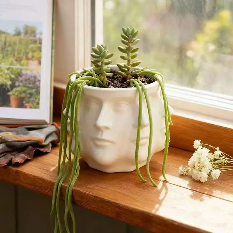 Abstrakter Facettierter Blumentopf – Kreativer Sukkulenten Pflanztopf | Innen-, Balkon- & Garten Dekoration Kaufschwan®