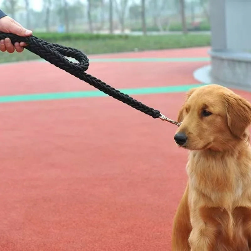 Geflochtene Nylon Hundeleine Stark Dicke Führleine für Große Hunde Bulldog Rottweiler Kaufschwan®