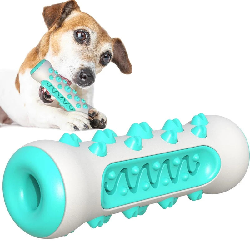 Hunde Kau Stick – TPR Zahnreinigungs Spielzeug für Welpen und Hunde Kaufschwan®