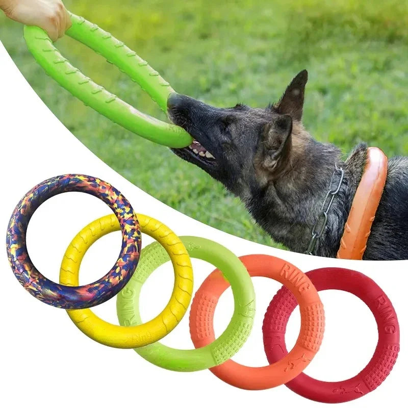 EVA Hund Trainingsring – Schwimmender Wurf- und Ziehring für Hunde Kaufschwan®