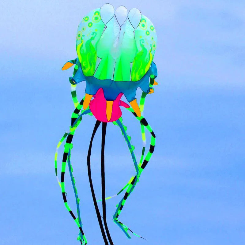 10M Riesiger Quallendrachen – Großer Aufblasbarer Weichdrachen aus Reißhemmendem Nylon für Strand und Freizeit Kaufschwan®