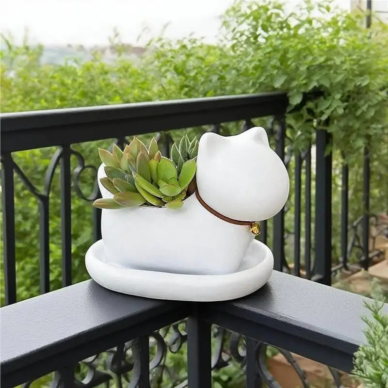 Niedlicher Cartoon Katzen Blumentopf – Kreatives Katzen Gesicht Design | Leichter Anti-Rutsch Pflanztopf für Büro, Lernen & Balkon Kaufschwan®