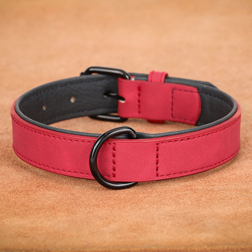 Gepolstertes Echtleder Hundehalsband Strapazierfähig für Große Hunde Kaufschwan® Rot S