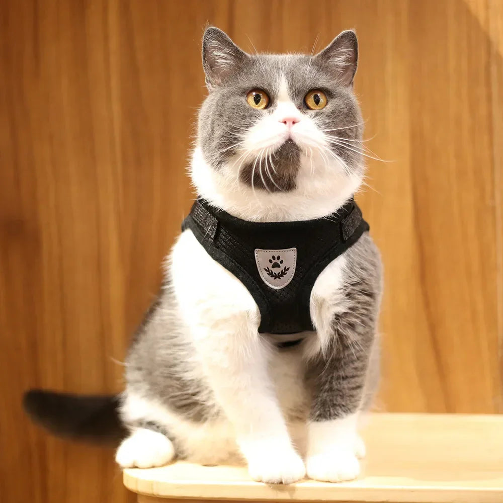 Ausbruchsicheres Reflektierendes Katzengeschirr für Katze – Verstellbare Atmungsaktive Netzweste mit Leine Kaufschwan®