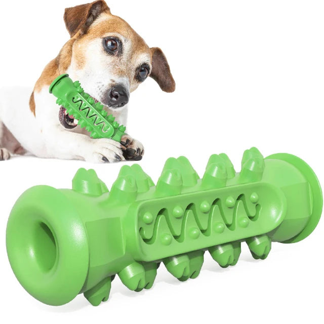 Hunde Kau Stick – TPR Zahnreinigungs Spielzeug für Welpen und Hunde Kaufschwan® Grün 2