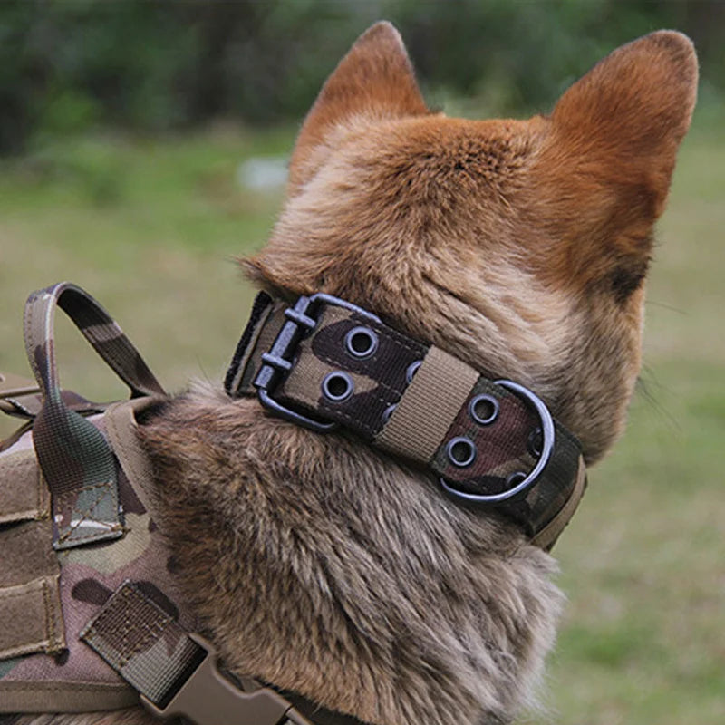 Verstellbares Nylon Hundehalsband Strapazierfähig für Mittel Große Hunde Kaufschwan®