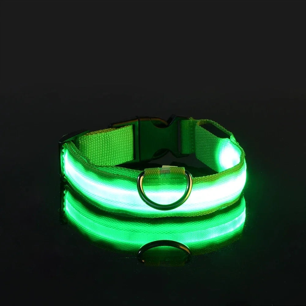 LED Leuchtendes Hundehalsband Nylon Blinkend Nacht Sicherheit Fluoreszierend Verstellbar für Hunde Kaufschwan® Grün XS 28-38cm