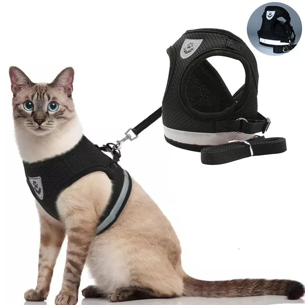 Ausbruchsicheres Reflektierendes Katzengeschirr für Katze – Verstellbare Atmungsaktive Netzweste mit Leine Kaufschwan®