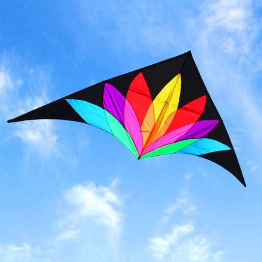 2M Großer Regenbogen-Delta-Drachen mit 10M Langen Schwänzen – Bunter Nylondrachen für Erwachsene und Freizeit im Freien Kaufschwan®