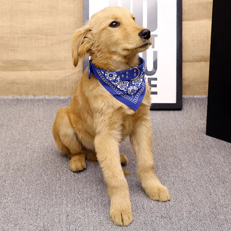 PU Leder Hundehalsband mit Schal Verstellbar Stilvolles Halsband für Kleine Mittelgroße Hunde Welpen Kaufschwan®