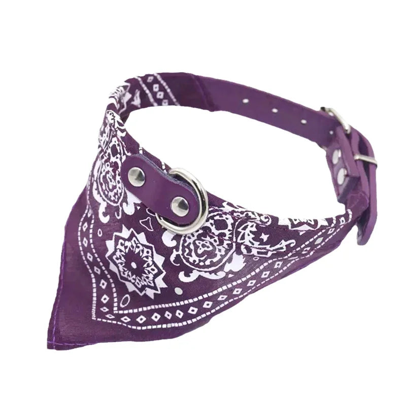 PU Leder Hundehalsband mit Schal Verstellbar Stilvolles Halsband für Kleine Mittelgroße Hunde Welpen Kaufschwan® Lila XS-1.5-3.5kg