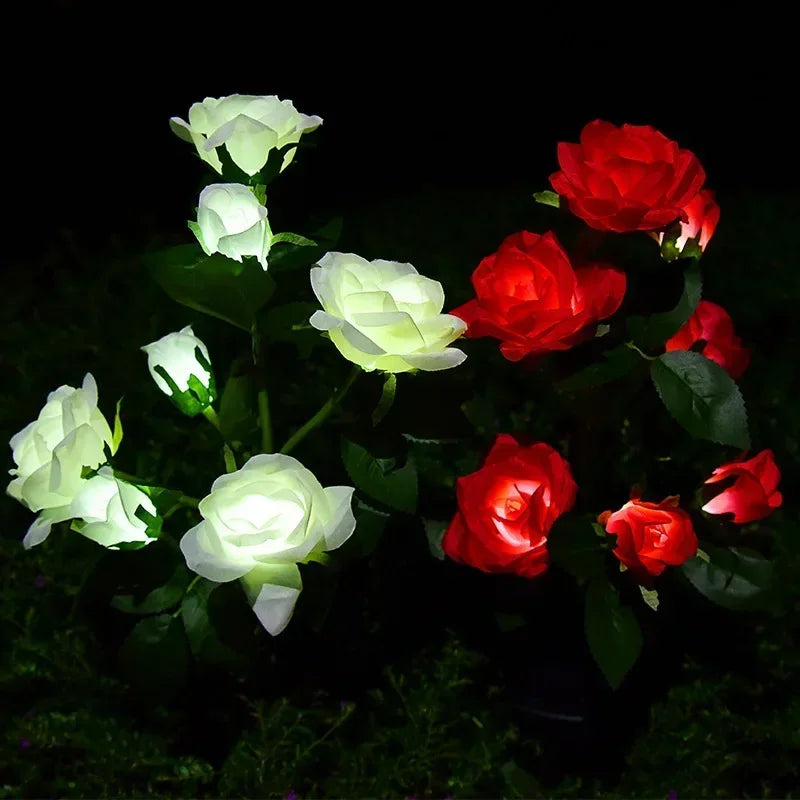 5-Köpfe Solarlichter – Außen Dekorative Rosenblumen Rasenlampe für Hof, Terrasse, Garten & Weihnachtsdekoration Kaufschwan®