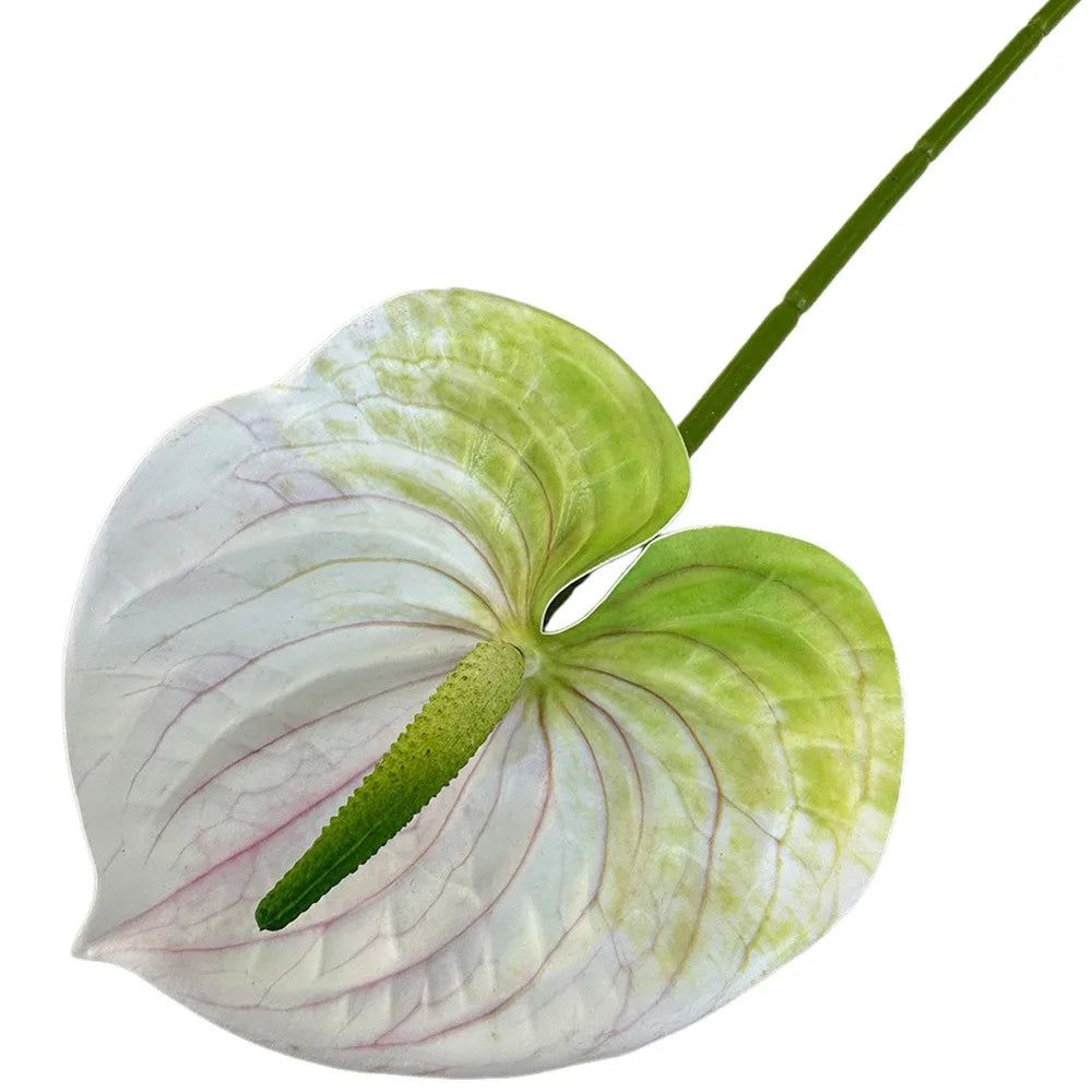 Mehrfarbige Künstliche Kleine Anthurie 60cm – Real-Touch Gummiblume für Zuhause, Fotorequisiten & Tropische Dekoration Kaufschwan® Weiß-Grün