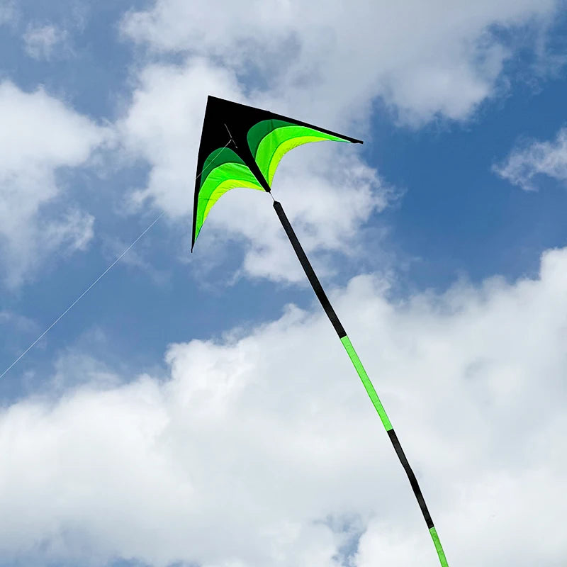 Großer Delta-Drachen mit 100m Flugschnur – Winddrachen mit Handgriff für Kinder und Freizeit im Freien Kaufschwan®
